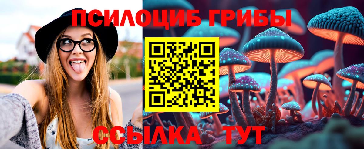 Псилоцибиновые грибы мухоморы Алапаевск