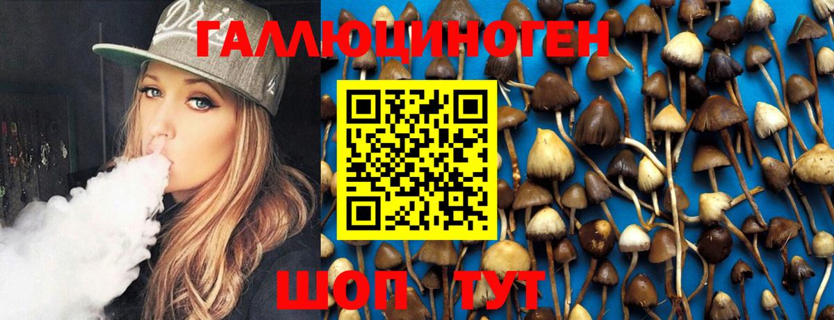 закладка  Вход с VPN  Алапаевск  Галлюциногенные грибы Psilocybe 